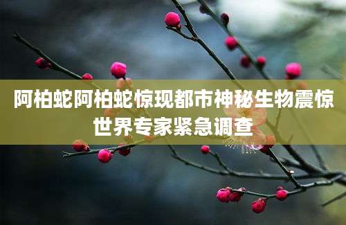 阿柏蛇阿柏蛇惊现都市神秘生物震惊世界专家紧急调查