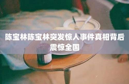 陈宝林陈宝林突发惊人事件真相背后震惊全国