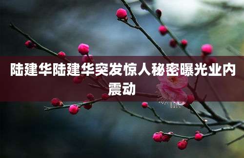 陆建华陆建华突发惊人秘密曝光业内震动