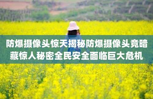 防爆摄像头惊天揭秘防爆摄像头竟暗藏惊人秘密全民安全面临巨大危机