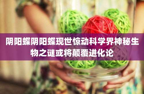 阴阳蝶阴阳蝶现世惊动科学界神秘生物之谜或将颠覆进化论