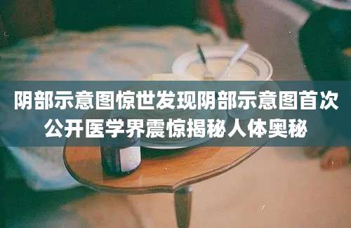 阴部示意图惊世发现阴部示意图首次公开医学界震惊揭秘人体奥秘