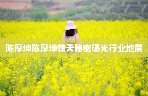 陈厚坤陈厚坤惊天秘密曝光行业地震