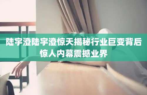 陆宇澄陆宇澄惊天揭秘行业巨变背后惊人内幕震撼业界