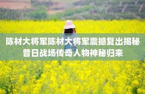 陈材大将军陈材大将军震撼复出揭秘昔日战场传奇人物神秘归来