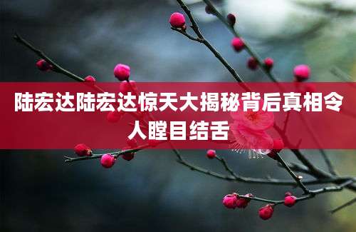 陆宏达陆宏达惊天大揭秘背后真相令人瞠目结舌