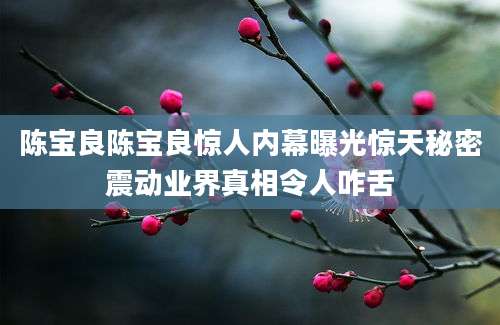 陈宝良陈宝良惊人内幕曝光惊天秘密震动业界真相令人咋舌