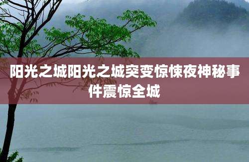 阳光之城阳光之城突变惊悚夜神秘事件震惊全城