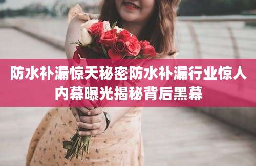 防水补漏惊天秘密防水补漏行业惊人内幕曝光揭秘背后黑幕
