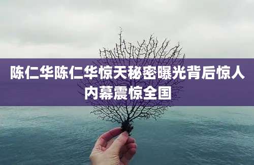 陈仁华陈仁华惊天秘密曝光背后惊人内幕震惊全国