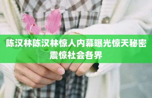 陈汉林陈汉林惊人内幕曝光惊天秘密震惊社会各界