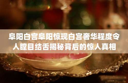 阜阳白宫阜阳惊现白宫奢华程度令人瞠目结舌揭秘背后的惊人真相