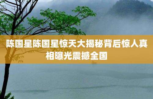 陈国星陈国星惊天大揭秘背后惊人真相曝光震撼全国
