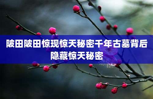 陂田陂田惊现惊天秘密千年古墓背后隐藏惊天秘密