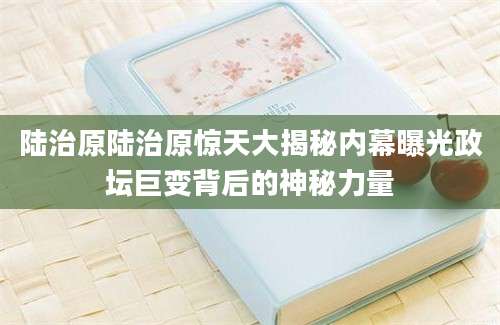陆治原陆治原惊天大揭秘内幕曝光政坛巨变背后的神秘力量