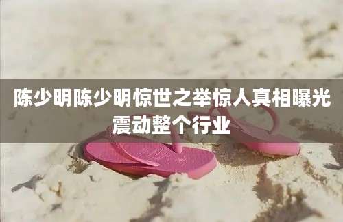 陈少明陈少明惊世之举惊人真相曝光震动整个行业