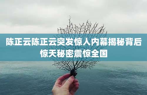 陈正云陈正云突发惊人内幕揭秘背后惊天秘密震惊全国