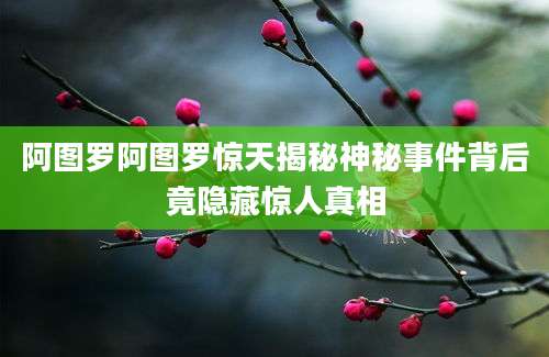 阿图罗阿图罗惊天揭秘神秘事件背后竟隐藏惊人真相