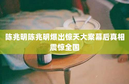 陈兆明陈兆明爆出惊天大案幕后真相震惊全国
