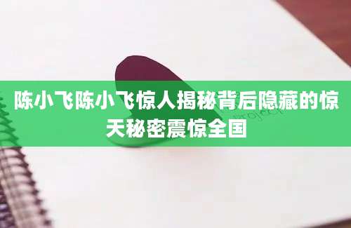 陈小飞陈小飞惊人揭秘背后隐藏的惊天秘密震惊全国