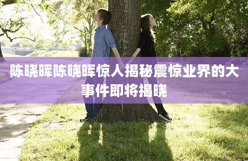 陈晓晖陈晓晖惊人揭秘震惊业界的大事件即将揭晓