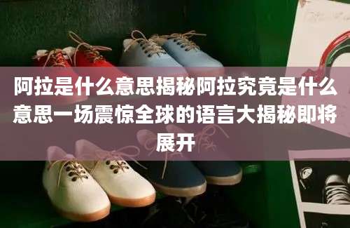 阿拉是什么意思揭秘阿拉究竟是什么意思一场震惊全球的语言大揭秘即将展开
