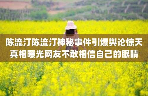 陈流汀陈流汀神秘事件引爆舆论惊天真相曝光网友不敢相信自己的眼睛